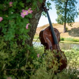 default_file-1744884877