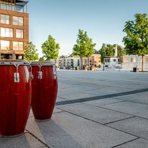 veronicavangroningen_Kammerfest2020-54